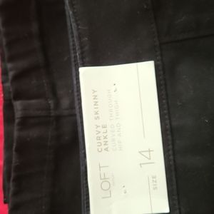 Loft Outlet Curvy Skinny Ankle